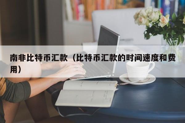 南非比特币汇款(比特币汇款的时间速度和费用)