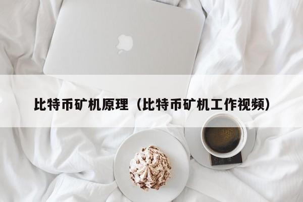 比特币矿机原理(比特币矿机工作视频)