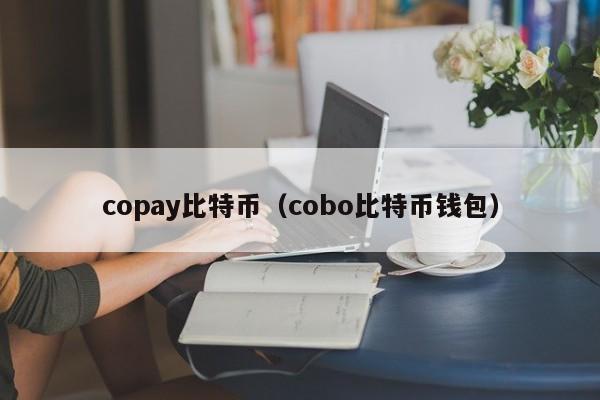 copay比特币(cobo比特币钱包)