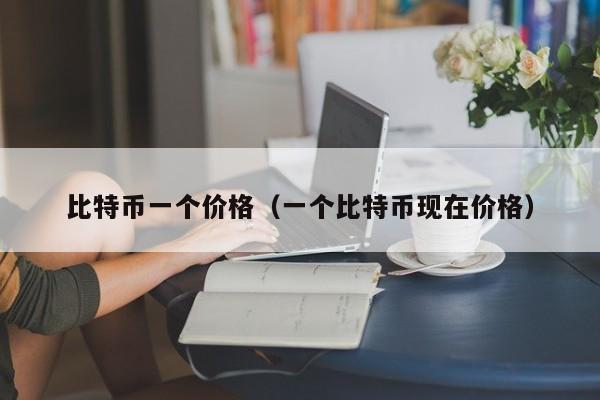 比特币一个价格(一个比特币现在价格)