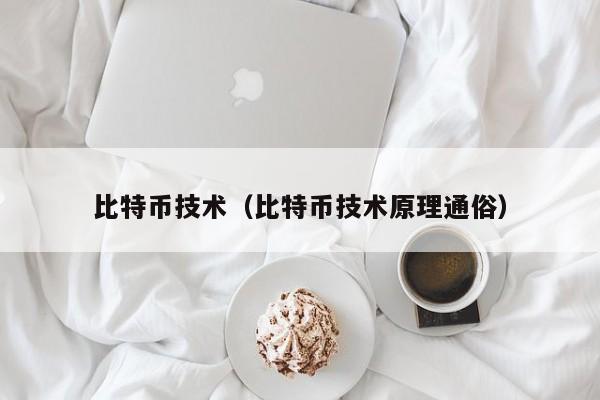 比特币技术(比特币技术原理通俗)