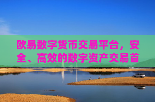 欧易数字货币交易平台，安全、**的数字资产交易**_