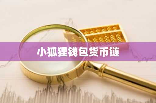 小狐狸钱包货币链