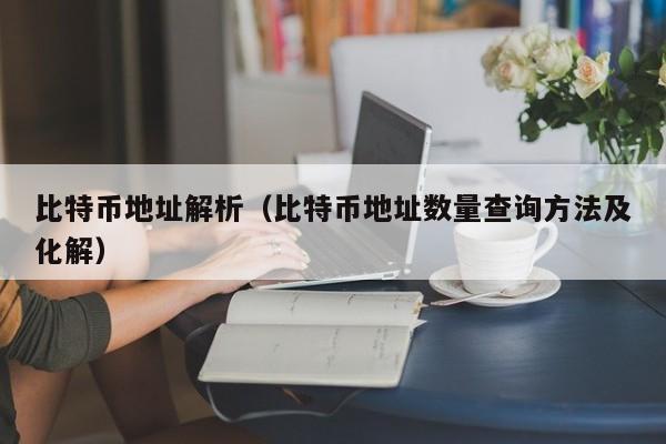比特币地址解析(比特币地址数量查询方法及化解)