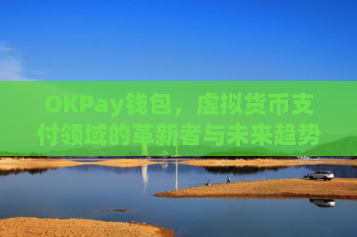OKPay钱包,虚拟货币支付领域的革新者与未来趋势_okpay钱包是正规平台吗