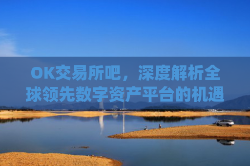 OK交易所吧，深度解析全球**数字资产平台的机遇与挑战_ok 交易所