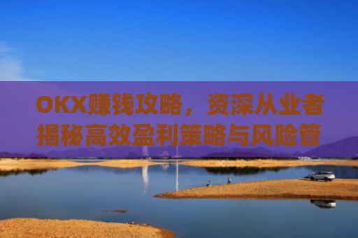 OKX赚钱攻略,资深从业者揭秘**盈利策略与风险管理_okx赚钱图片