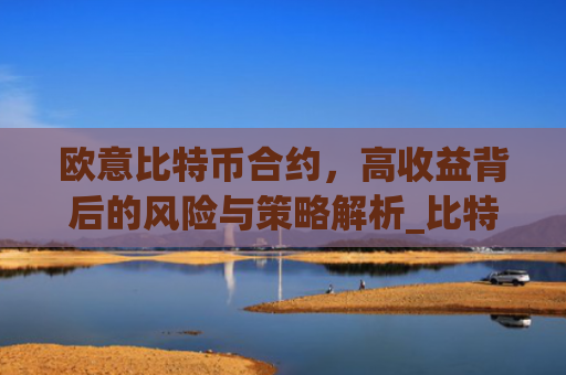 欧意比特币合约,高收益背后的风险与策略解析_比特币合约omex