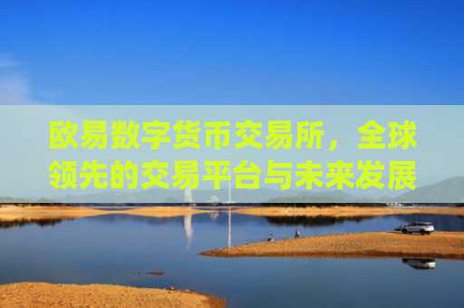 欧易数字货币交易所,全球**的交易平台与未来发展趋势解析_