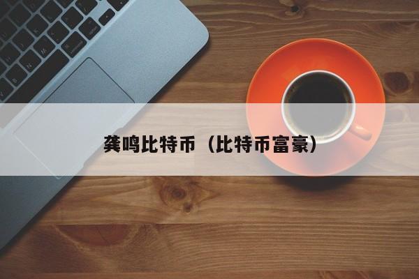 龚鸣<a href=https://www.globetech.com.cn/news/299313.html target=_blank class=infotextkey>比特币</a>(比特币富豪)