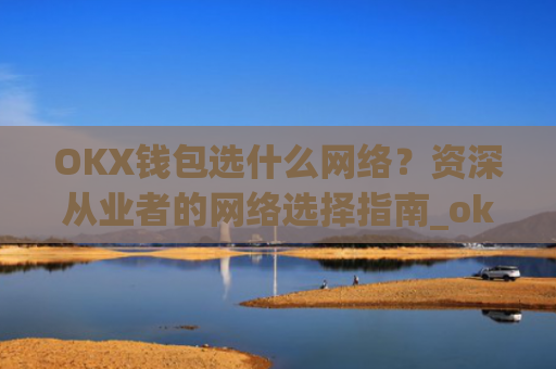 OKX钱包选什么网络?资深从业者的网络选择指南_okex钱包是什么