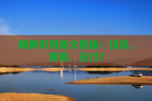 狗狗币用途大揭秘:投资、慈善、支付?