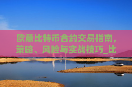 欧意比特币合约交易指南,策略、风险与实战技巧_比特币欧洲交易所