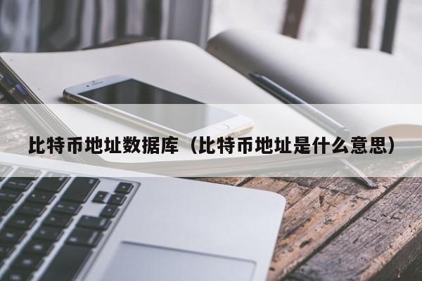 比特币地址数据库(比特币地址是什么意思)