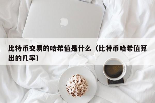 比特币交易的哈希值是什么(比特币哈希值算出的几率)
