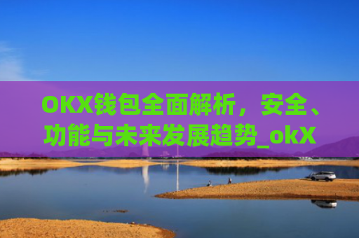 OKX钱包**解析，安全、功能与未来发展趋势_okX钱包下载