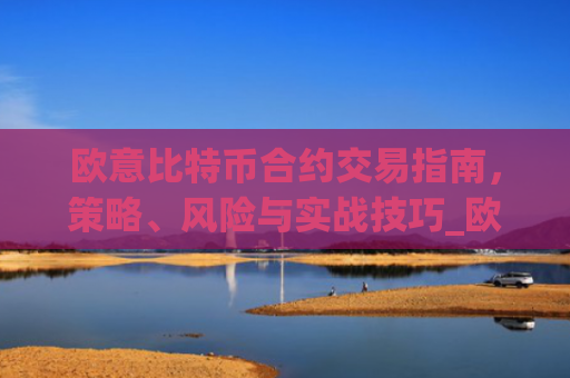 欧意比特币合约交易指南，策略、风险与实战技巧_欧比特币官网