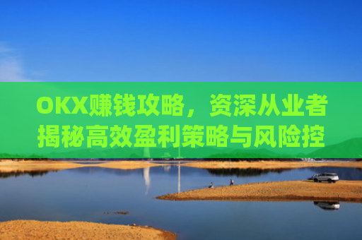 OKX赚钱攻略,资深从业者揭秘**盈利策略与风险控制_okx赚钱图片