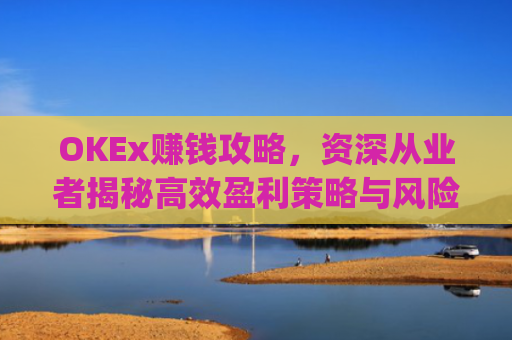 OKEx赚钱攻略,资深从业者揭秘**盈利策略与风险管理_okex一年赚多少钱