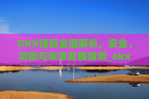 OKX钱包**解析，安全、功能与未来发展趋势_okx钱包地址查询