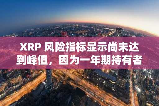 XRP 风险指标显示尚未达到峰值,因为一年期持有者可享受 5.16 倍的投资回报率