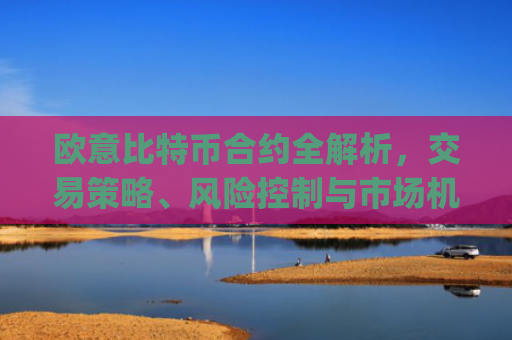 欧意比特币合约全解析,交易策略、风险控制与市场机遇_欧比特合约交易所