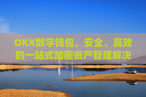 OKX数字钱包，安全、**的一站式加密资产管理解决方案_w0t0ken数字钱包