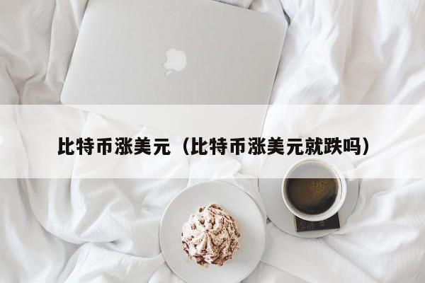 比特币涨美元(比特币涨美元就跌吗)