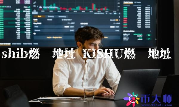 KISHU燃烧地址