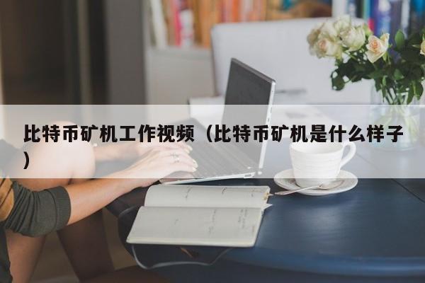 比特币矿机工作视频(比特币矿机是什么样子)